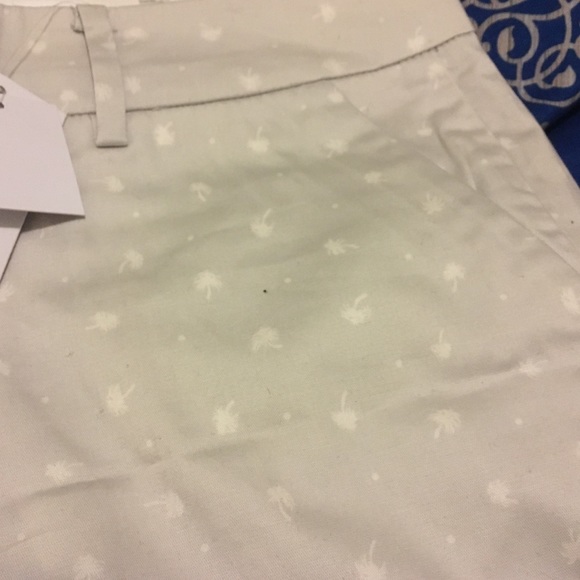 Shorts - Picture 2 of 5